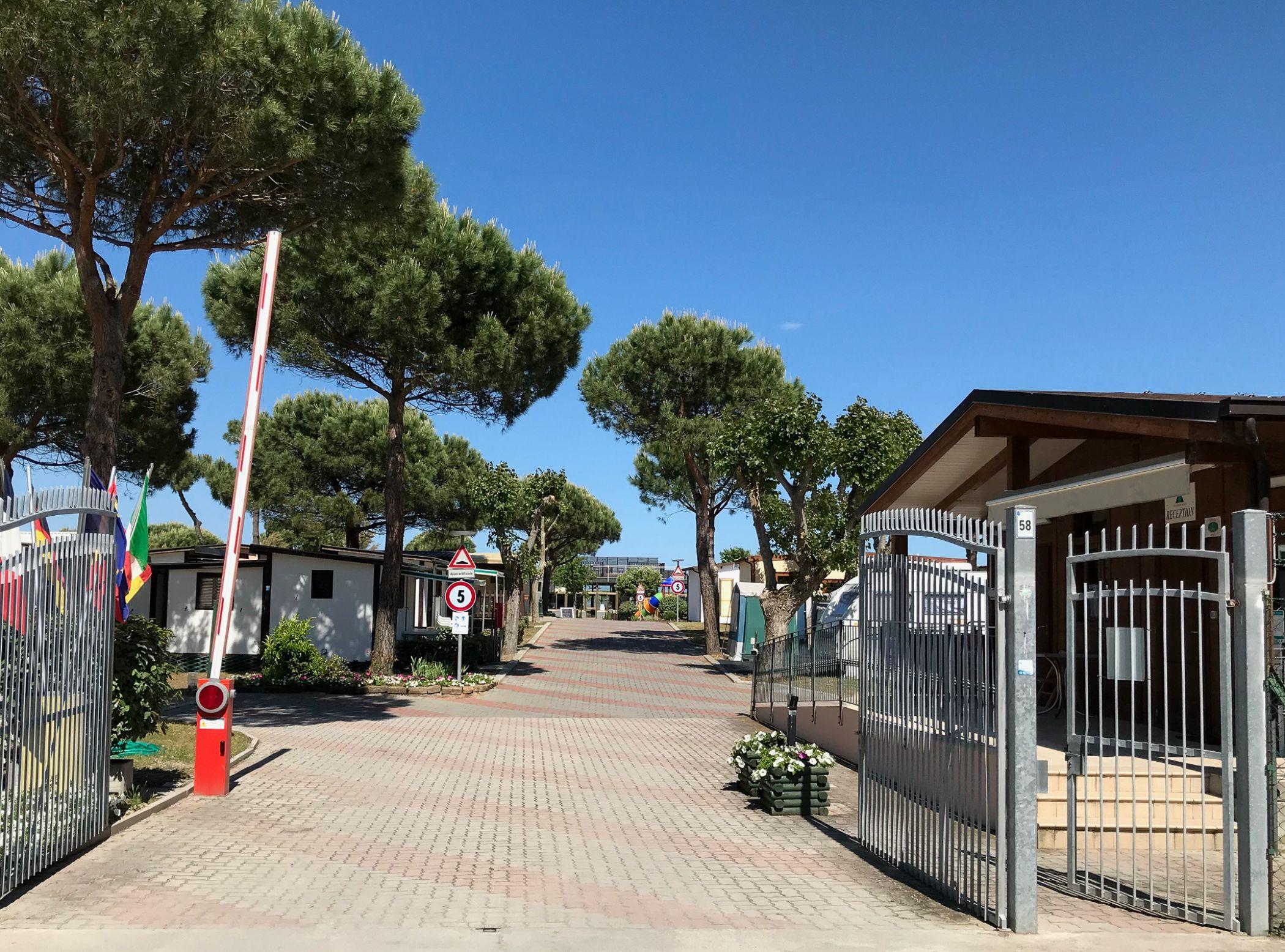 פונטה מרינה Club Del Sole Pini Boutique Resort מראה חיצוני תמונה
